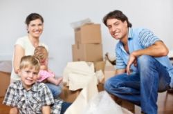 Removal Services to Loures