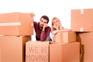 Removals to Amadora