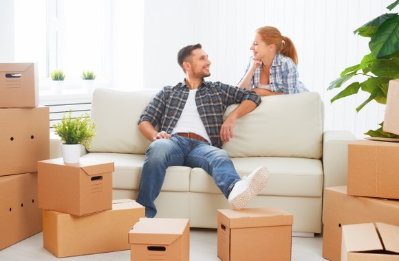 domestic removals